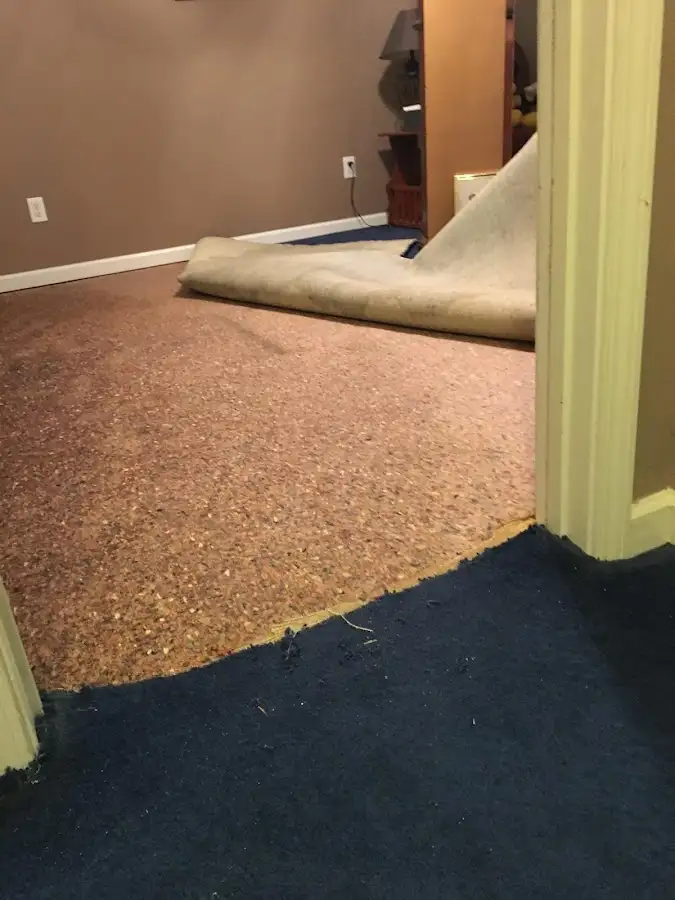 Carpet pad removal revealing water damage during Drying & Dehumidification in Ozark