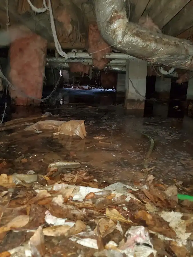 Crawl space flood assessment for Commercial Water Damage Restoration in Ozark